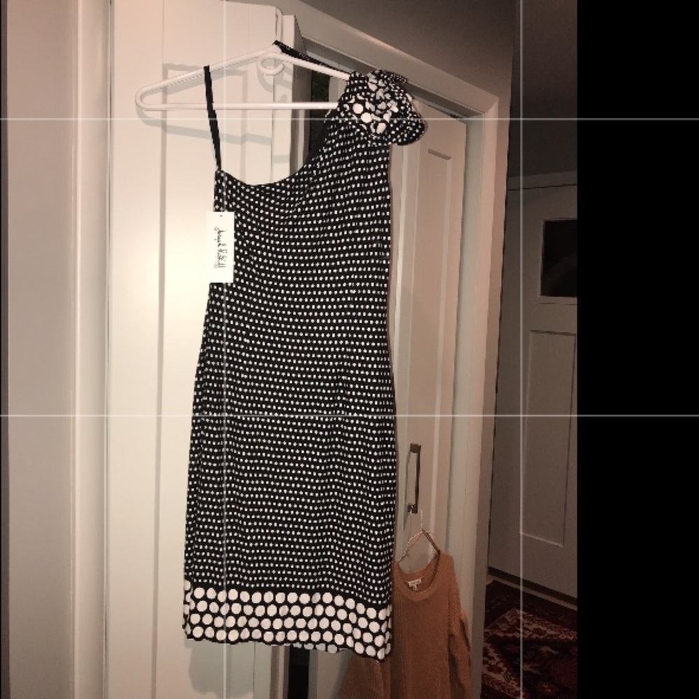 Joseph Ribkoff dress 4
